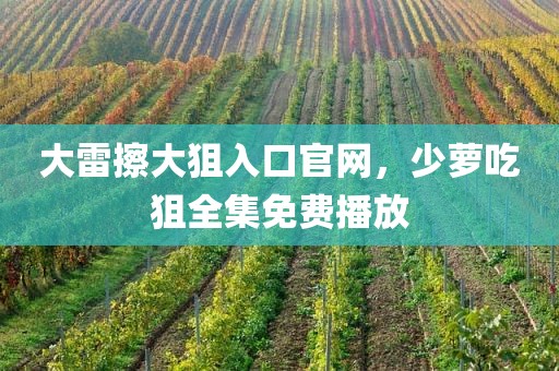 大雷擦大狙入口官网，少萝吃狙全集免费播放