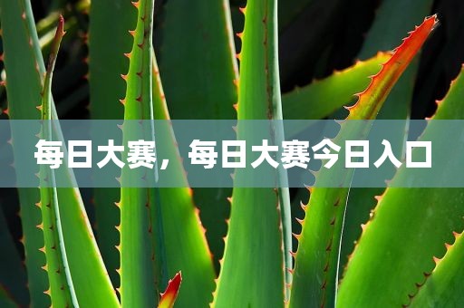 每日大赛，每日大赛今日入口