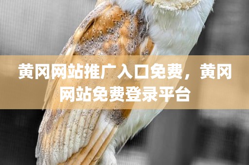 黄冈网站推广入口免费，黄冈网站免费登录平台
