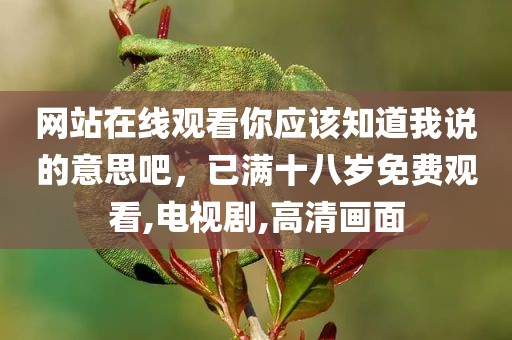 网站在线观看你应该知道我说的意思吧，已满十八岁免费观看,电视剧,高清画面