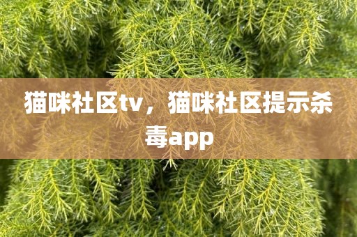 猫咪社区tv，猫咪社区提示杀毒app