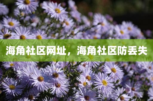 海角社区网址，海角社区防丢失