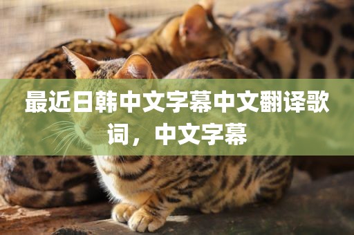 最近日韩中文字幕中文翻译歌词，中文字幕