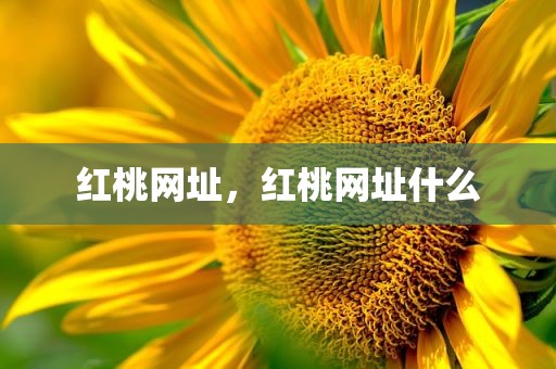 红桃网址，红桃网址什么