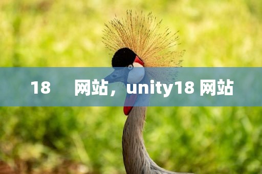 18     网站，unity18 网站