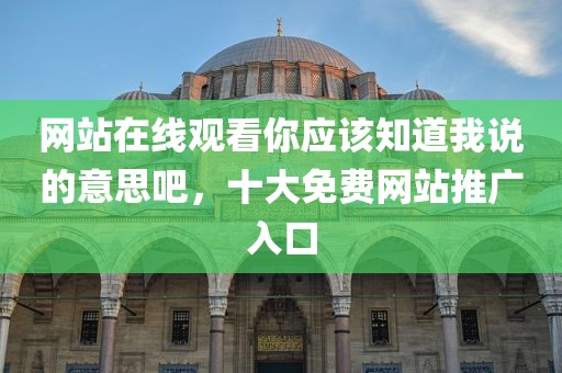 网站在线观看你应该知道我说的意思吧，十大免费网站推广入口