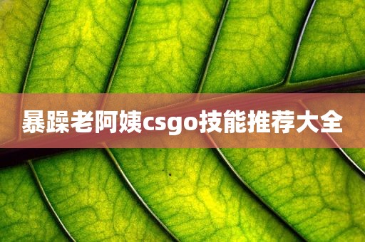 暴躁老阿姨csgo技能推荐大全