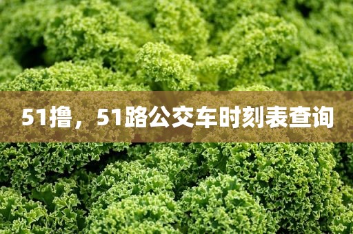 51撸，51路公交车时刻表查询