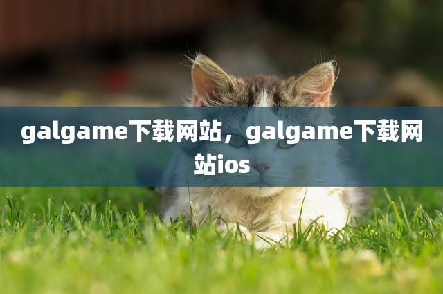 galgame下载网站，galgame下载网站ios