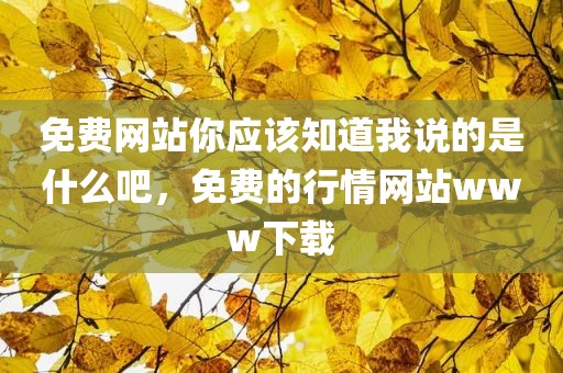 免费网站你应该知道我说的是什么吧，免费的行情网站www下载