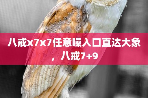 八戒x7x7任意噪入口直达大象，八戒7+9