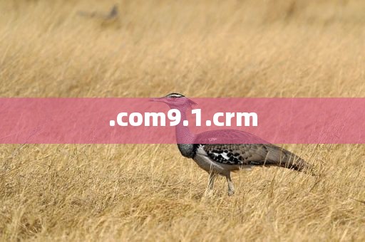 .com9.1.crm