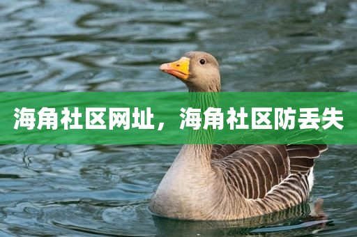 海角社区网址，海角社区防丢失