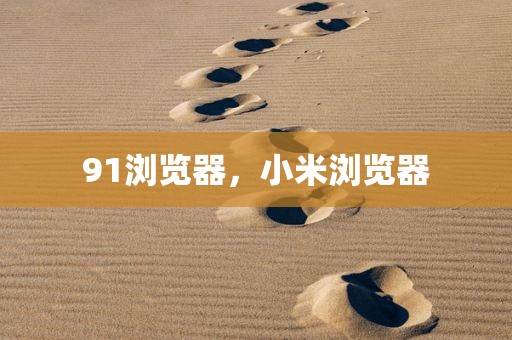 91浏览器，小米浏览器