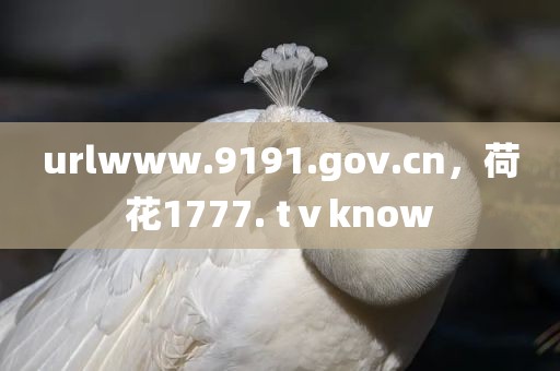 urlwww.9191.gov.cn，荷花1777. tⅴknow