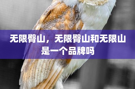 无限臀山，无限臀山和无限山是一个品牌吗
