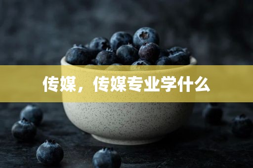 传媒，传媒专业学什么