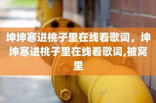 坤坤寒进桃子里在线看歌词，坤坤寒进桃子里在线看歌词,被窝里