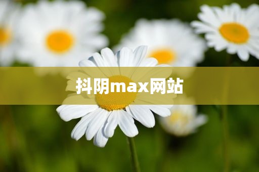 抖阴max网站