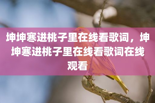 坤坤寒进桃子里在线看歌词，坤坤寒进桃子里在线看歌词在线观看