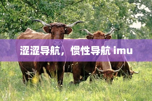涩涩导航，惯性导航 imu
