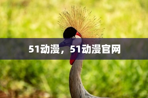 51动漫，51动漫官网