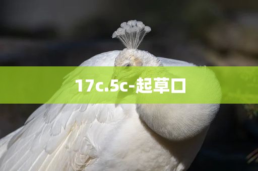 17c.5c-起草口