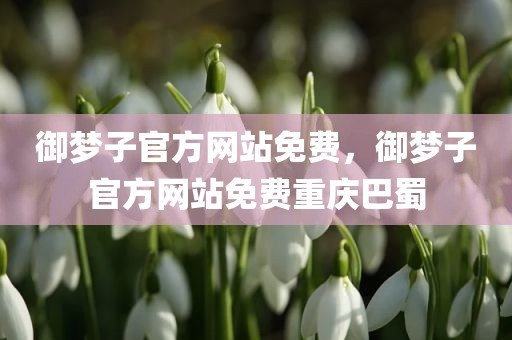 御梦子官方网站免费，御梦子官方网站免费重庆巴蜀