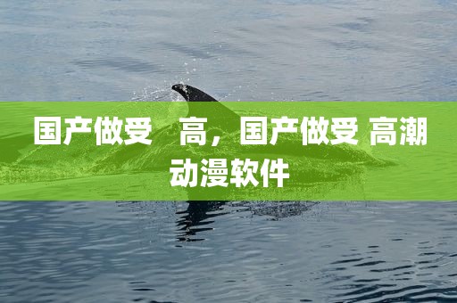 国产做受   高，国产做受 高潮动漫软件