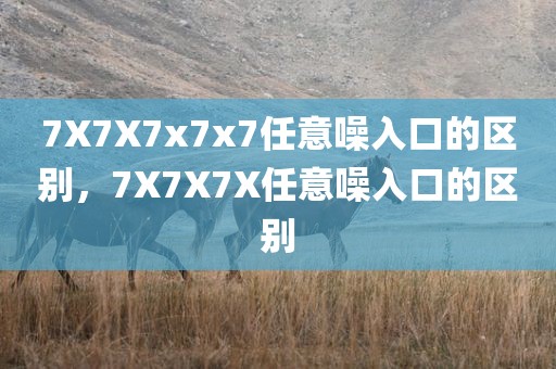 7X7X7x7x7任意噪入口的区别，7X7X7X任意噪入口的区别