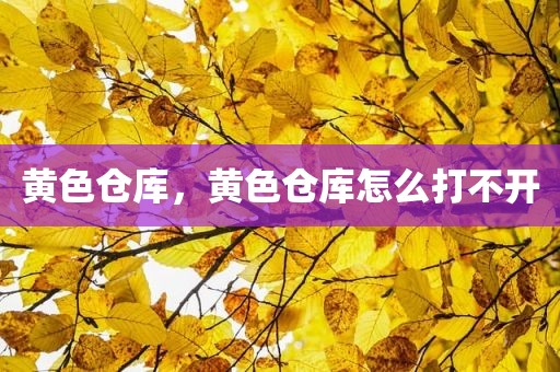 黄色仓库，黄色仓库怎么打不开