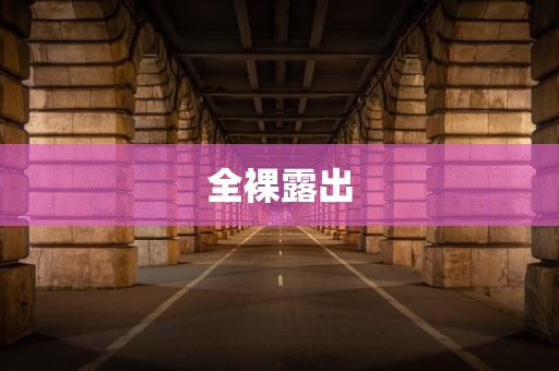 全裸露出