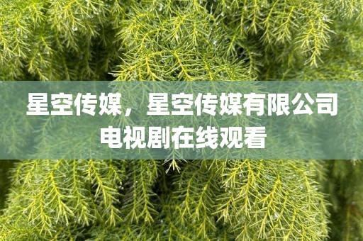 星空传媒，星空传媒有限公司电视剧在线观看