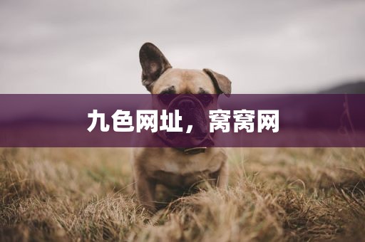 九色网址，窝窝网