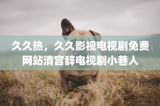 久久热，久久影视电视剧免费网站清宫辞电视剧小巷人