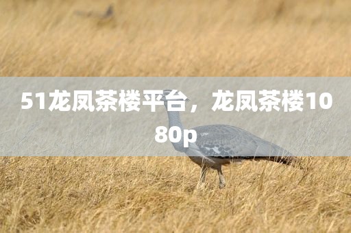 51龙凤茶楼平台，龙凤茶楼1080p