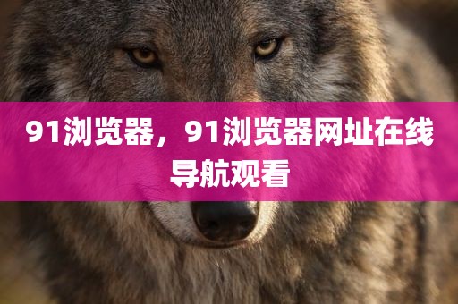 91浏览器，91浏览器网址在线导航观看