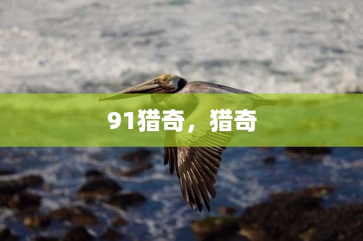 91猎奇，猎奇