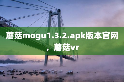 蘑菇mogu1.3.2.apk版本官网，蘑菇vr