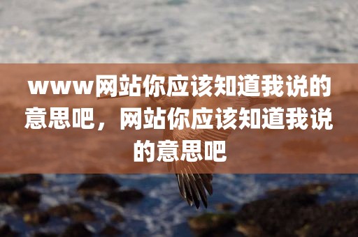 www网站你应该知道我说的意思吧，网站你应该知道我说的意思吧