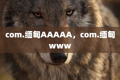 com.缅甸AAAAA，com.缅甸www