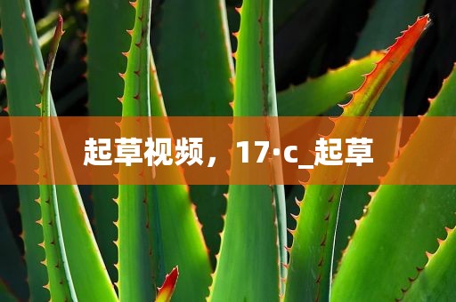 起草视频，17·c_起草