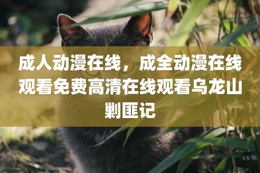 成人动漫在线，成全动漫在线观看免费高清在线观看乌龙山剿匪记