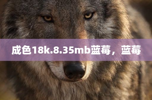 成色18k.8.35mb蓝莓，蓝莓