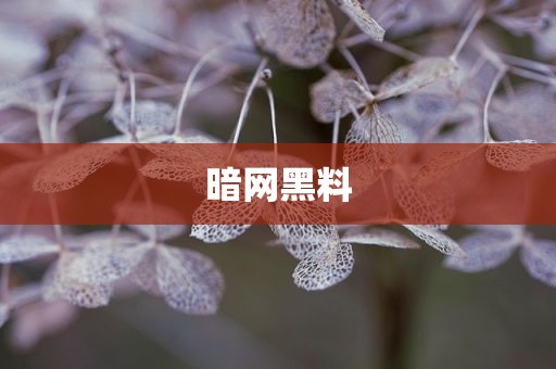 暗网黑料