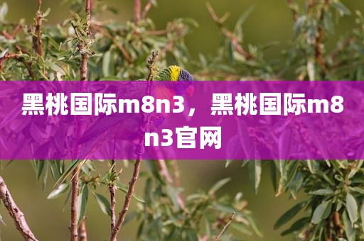 黑桃国际m8n3，黑桃国际m8n3官网