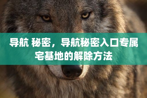导航 秘密，导航秘密入口专属宅基地的解除方法