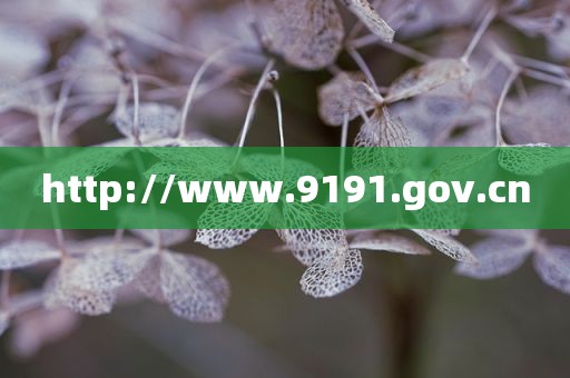 http://www.9191.gov.cn