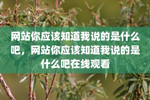 网站你应该知道我说的是什么吧，网站你应该知道我说的是什么吧在线观看