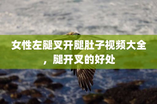 女性左腿叉开腿肚子视频大全，腿开叉的好处